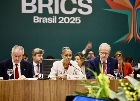 CNN Brasil