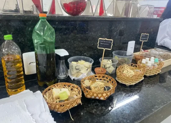 Confirma Notícia