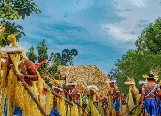 As inscrições são gratuitas e devem ser realizadas entre os dias 03 e 18 de abril de 2025. Foto: Divulgação