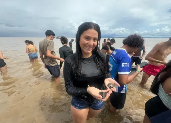 Confirma Notícia