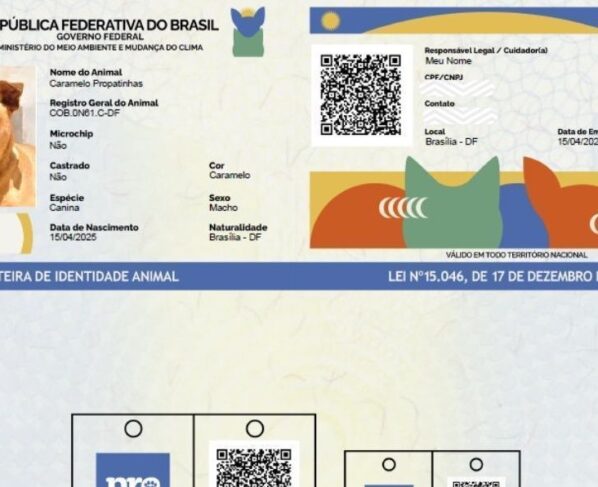 CNN Brasil