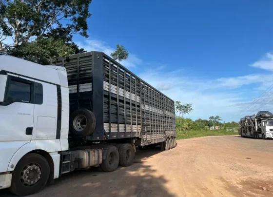 Confirma Notícia