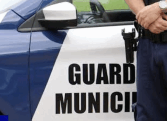 Guarda municipal