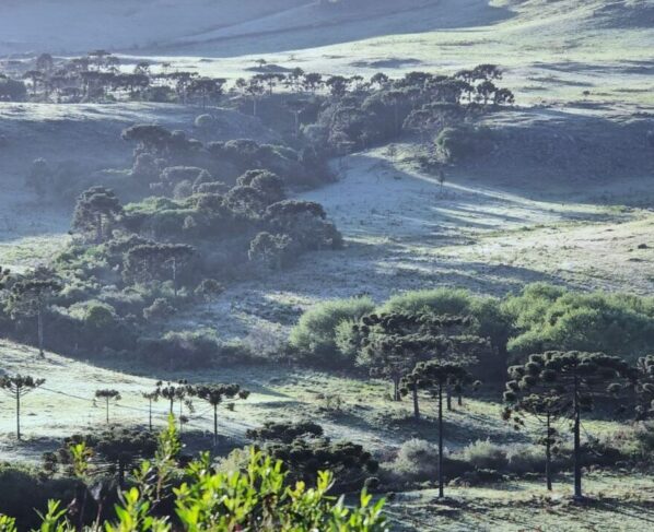 Defesa Civil alerta para frio intenso e possibilidade de neve em SC