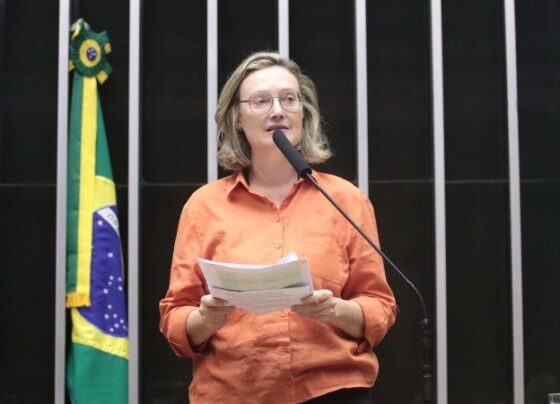 Maria do Rosário defendeu CPI destinada a enfrentar os riscos de desafios virtuais e ameaças de crimes originados em plataformas digitais -  (crédito: Bruno Spada/Câmara dos Deputados)
