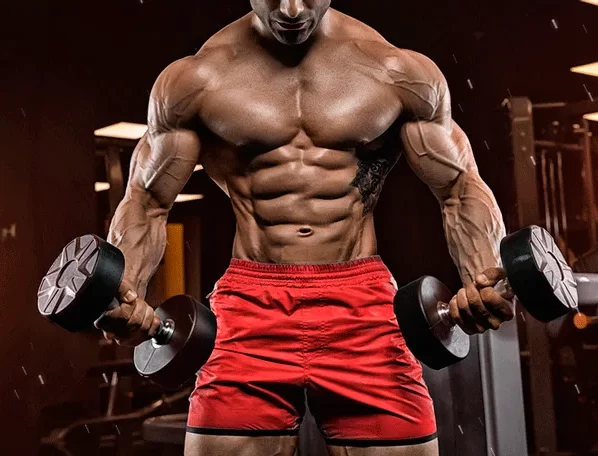 A morte súbita cardíaca tem vitimado fisiculturistas masculinos em todo o mundo, de acordo com uma pesquisa publicada recentemente no European Heart Journal. Foto: Divulgação
