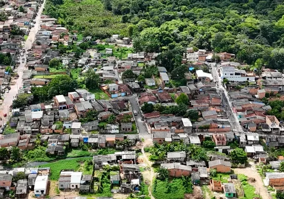 Confirma Notícia