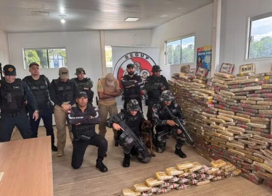 CNN Brasil