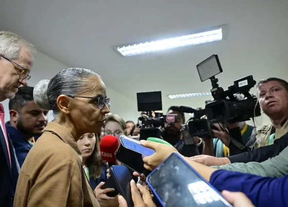 A ministra do Meio Ambiente, Marina Silva, disse nesta terça-feira (27) que se sentiu agredida durante audiência no Senado