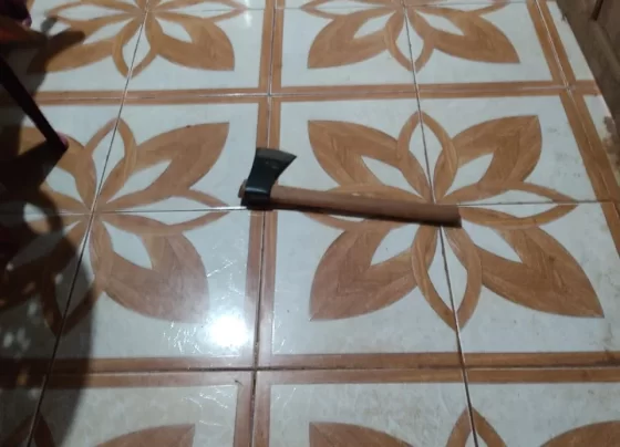 O marido, Domingos Alves da Silva, de 84 anos, assassinou sua esposa, de 69 anos, a golpes de machado e, em seguida, tirou a própria vida por enforcamento.