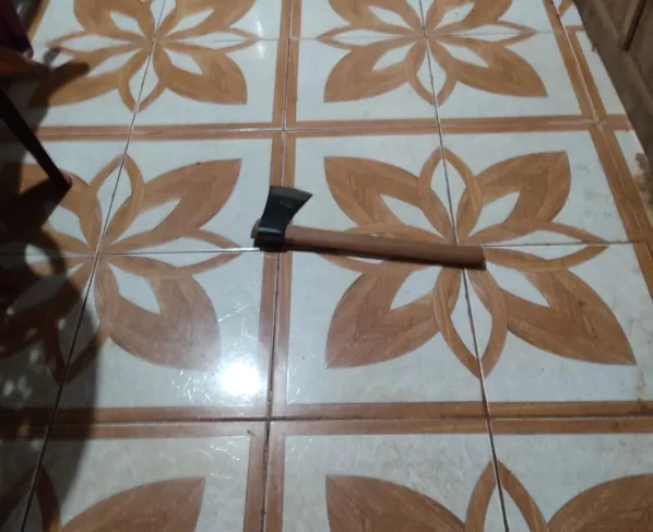 O marido, Domingos Alves da Silva, de 84 anos, assassinou sua esposa, de 69 anos, a golpes de machado e, em seguida, tirou a própria vida por enforcamento.