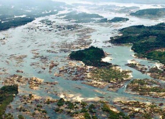 O Pedral do Lourenço é uma formação rochosa de aproximadamente 43 km, localizada no município de Itupiranga, entre Marabá e Tucuruí