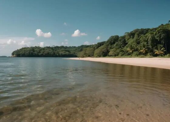 Praias de Água Doce no Pará: Descubra este Paraíso Escondido