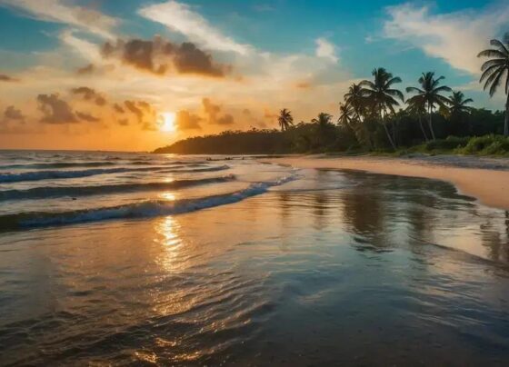 Praias de Salinas no Pará: Um Paraíso Tropical para Visitar