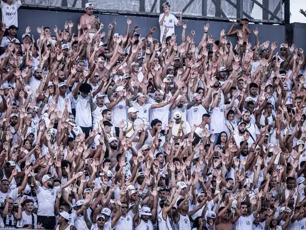 Torcida do Santos. Foto: Divulgação