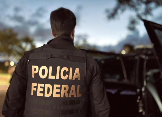 cede3873-dc2e-4dd3-84c9-f4d8bc5b9de7.jfif