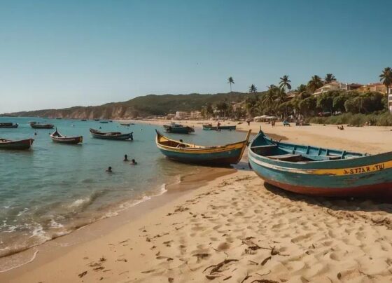 Quando Ir à Ilha de Algodoal: Descubra o Melhor Momento