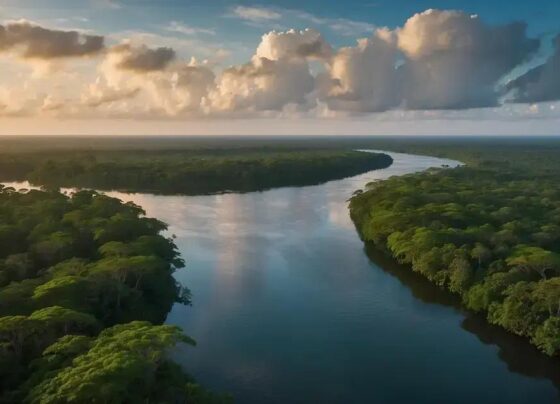 Visitar a Floresta Nacional do Tapajós: Um Paraíso Natural